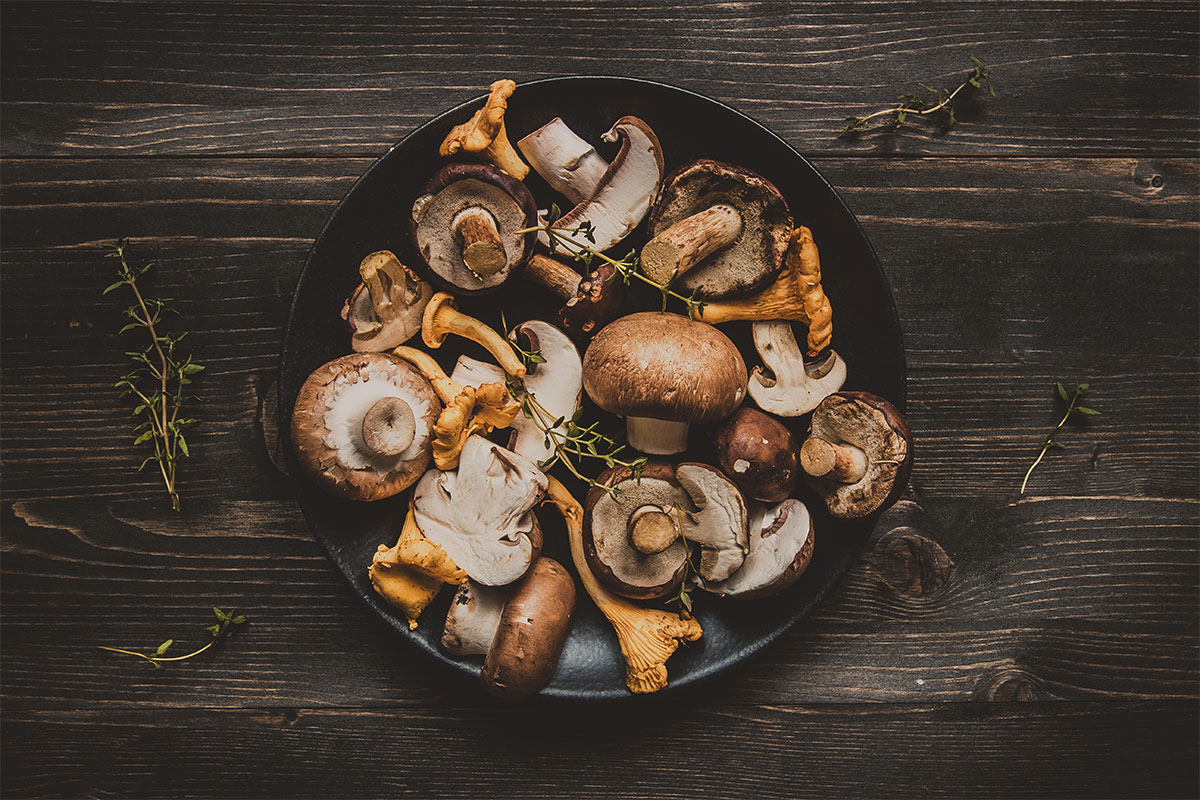Bowl of wild mushrooms. 