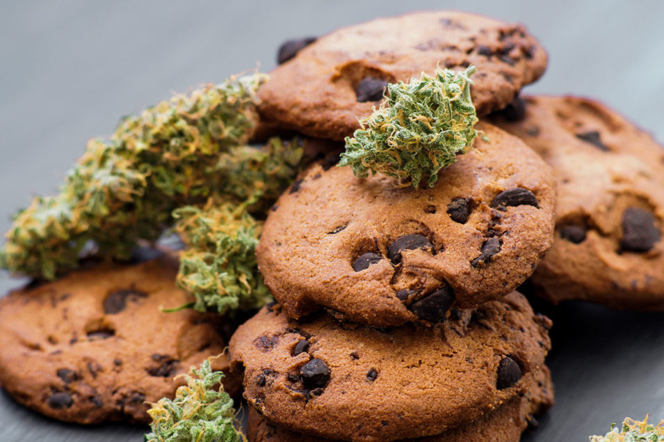 Medible Safety: The Kitchen Safe, Edibles Magazine, Edibles List, Cannabis Recipes, Cooking with Cannabis