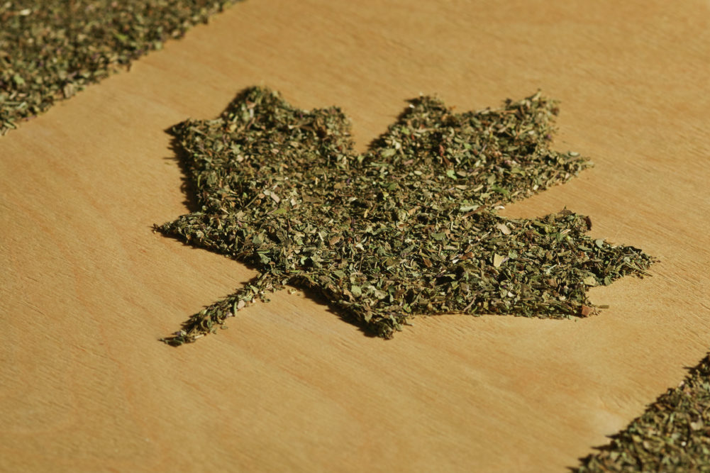 Cannabis in shape of Canadian flag