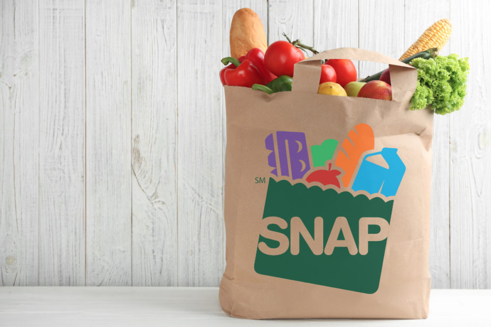 SNAP bag of groceries