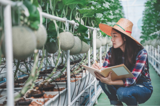 Gen Z farmer using agricultural technology to grow food