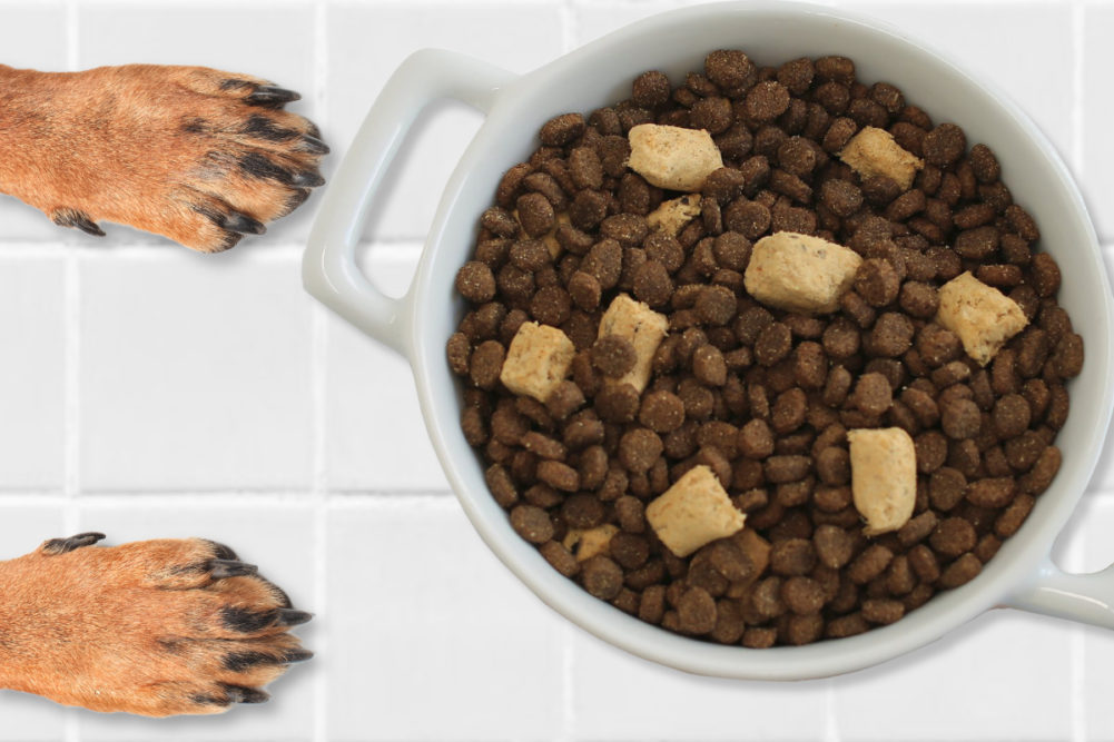Freeze dried pet food