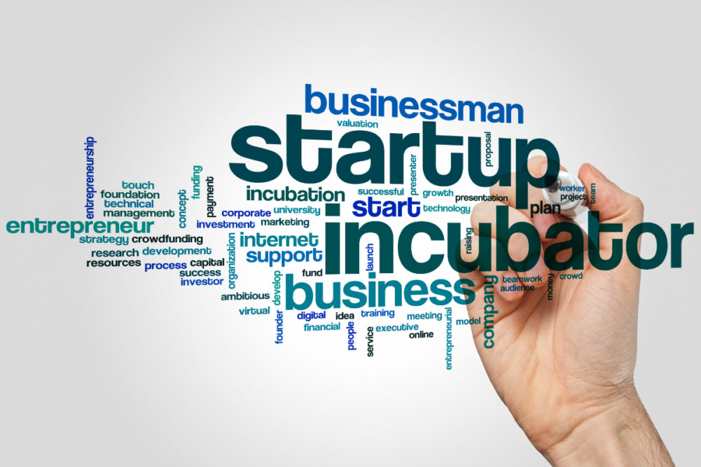 Business startup accelerator word cloud