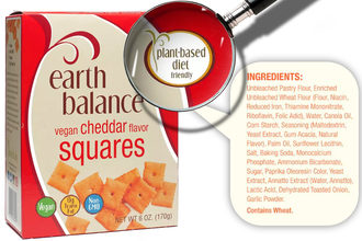 arth Balance Vegan Cheddar Flavor Squares ingredients