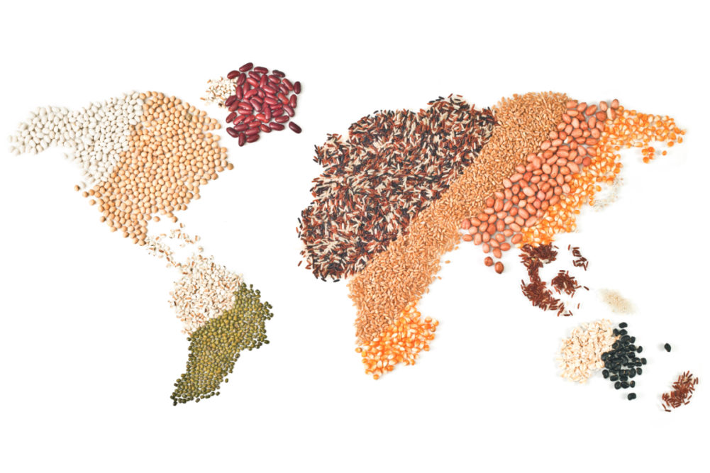 World map made out of grains