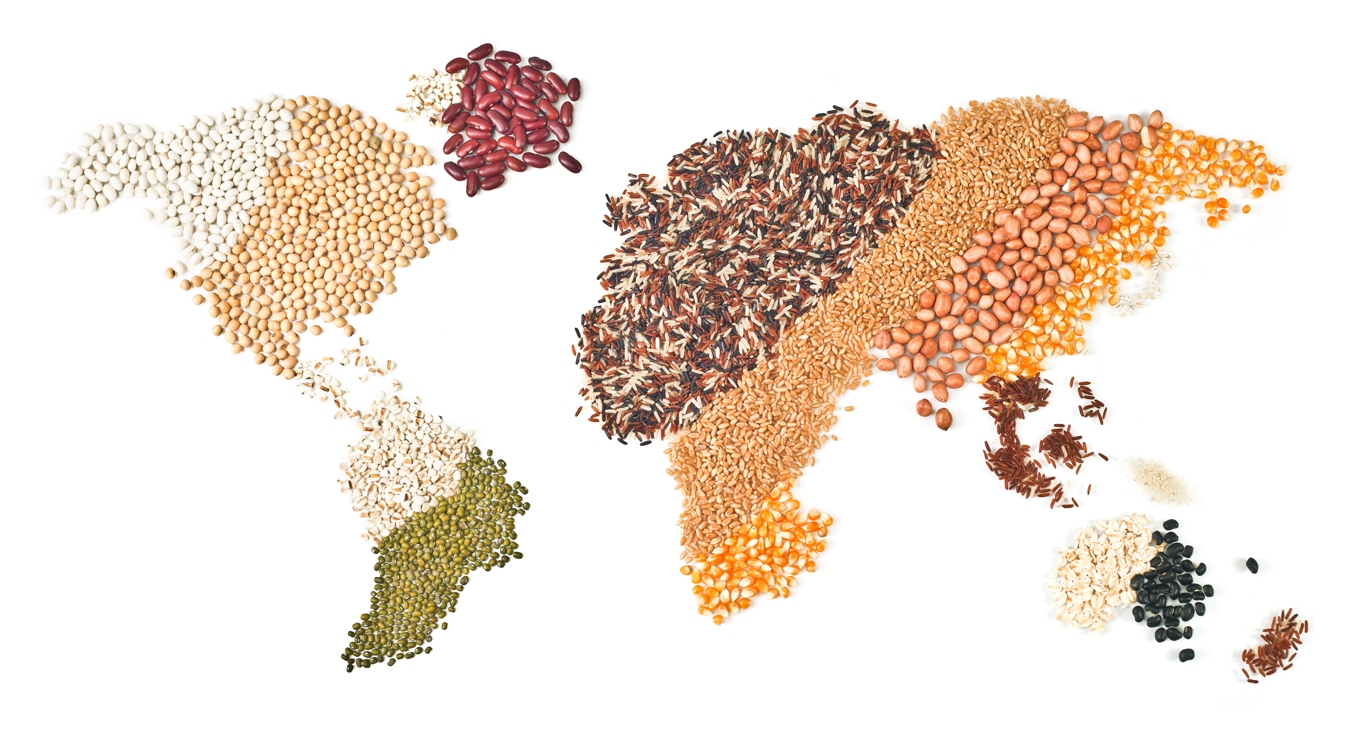 International Grains Council, grains, rice and oilseed on international map