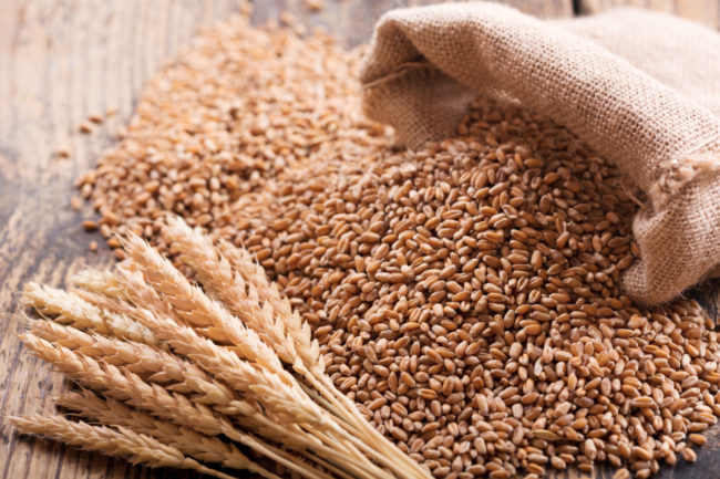Organic wheat