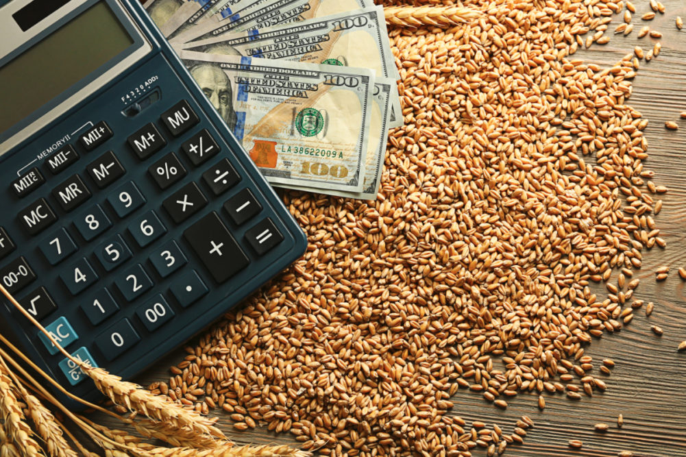 Wheat, money and calculator