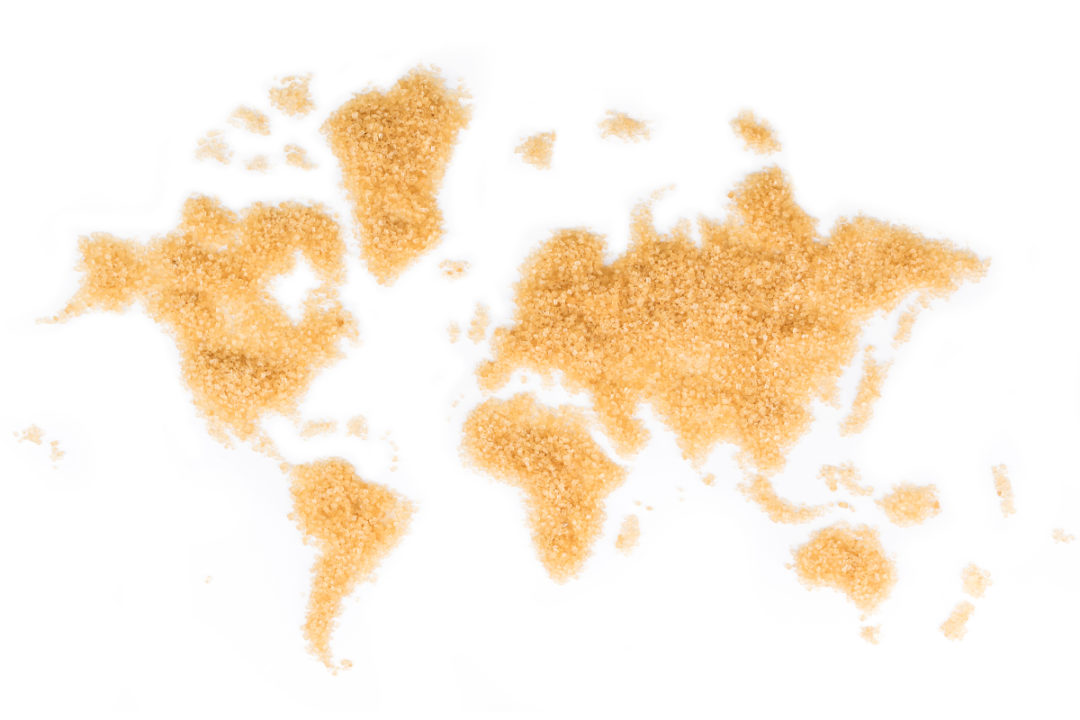 World map made out of cane sugar