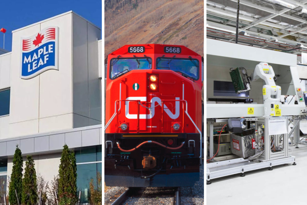 Maple Leaf Foods, Canadian National Railway and Celestica Inc.
