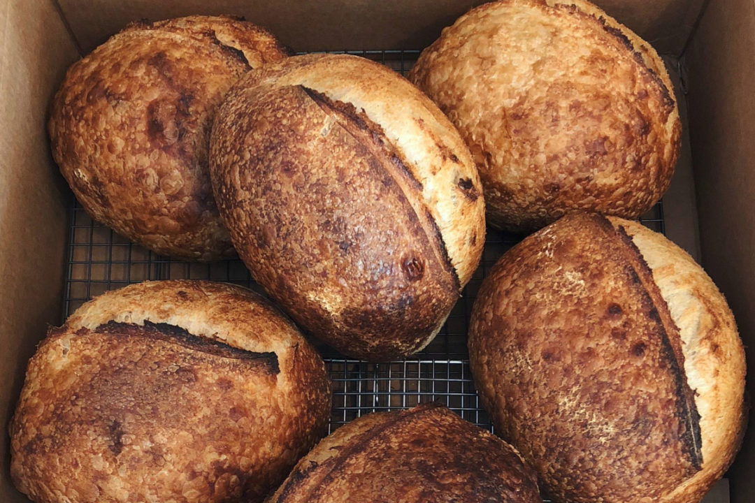 Rebel Bread artisan bread loaves