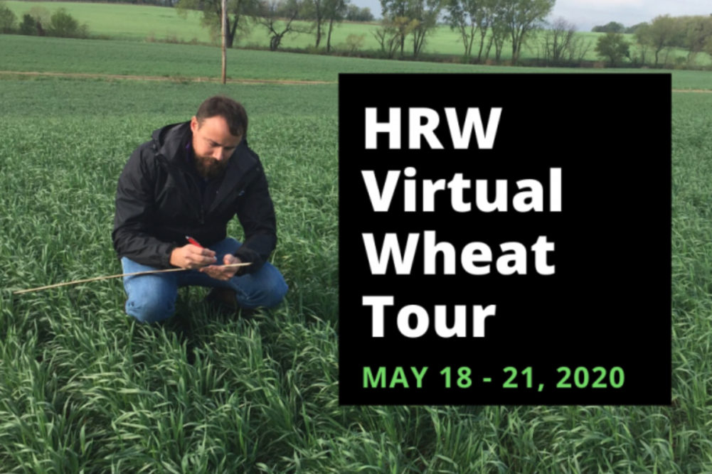 Virtual wheat tour