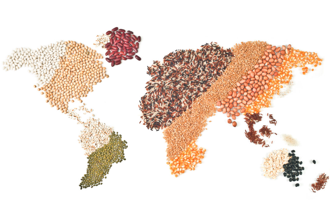 World map made of various grains