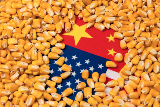 USA and China flag covered by corn kernels