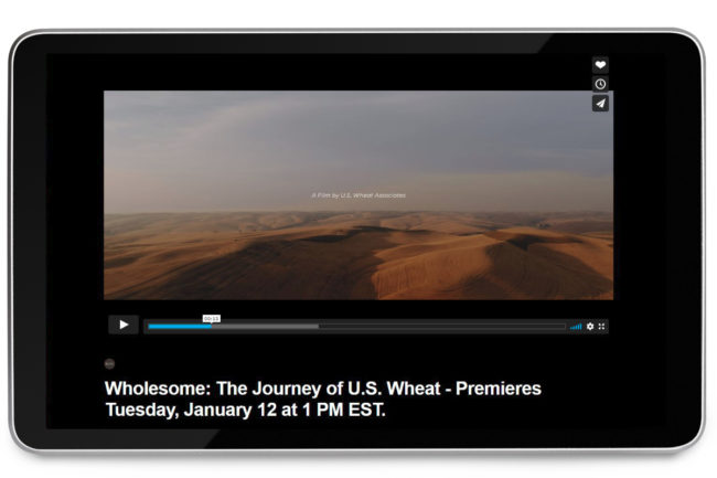US Wheat video