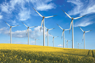 Wind turbines in a canola field