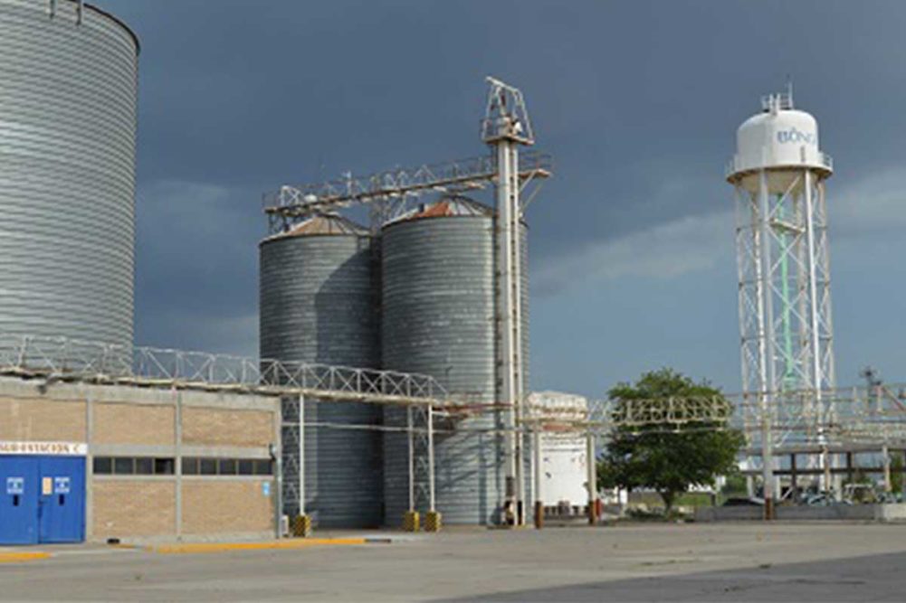 Mexico Mills, Bunge