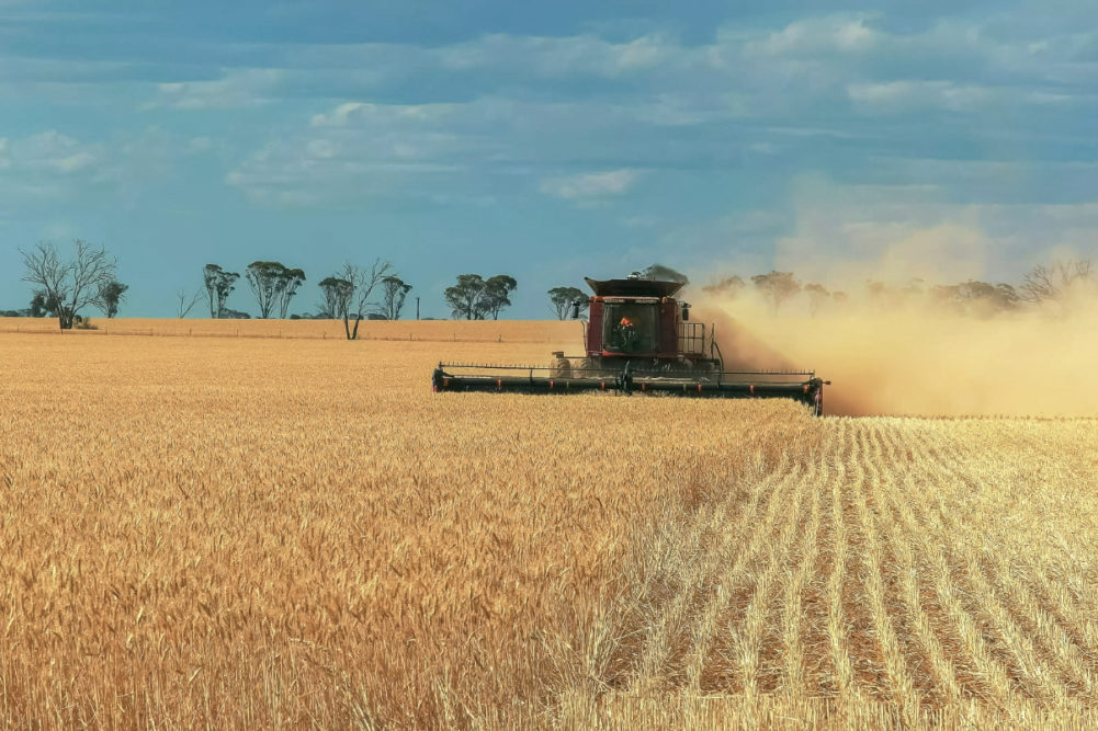 Australia wheat harvest
