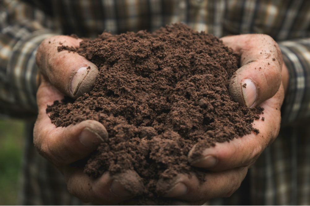 Farmer's hands holding soil