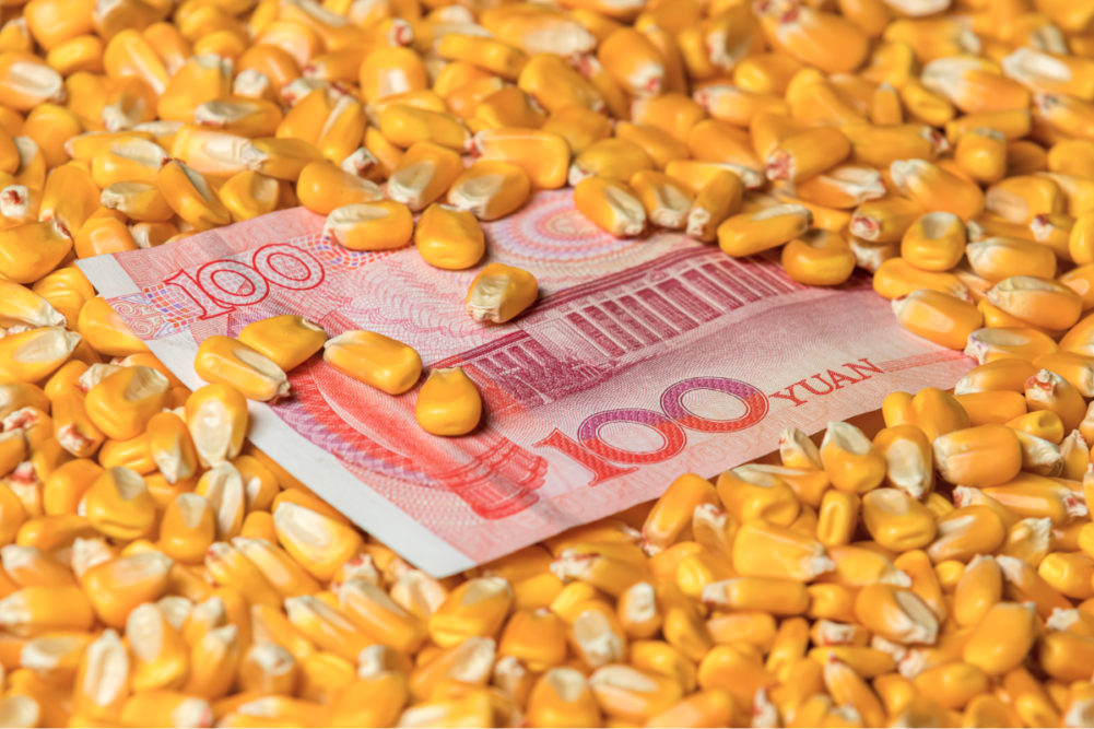 Chinese 100 yuan renminbi bill surrounded with corn kernels