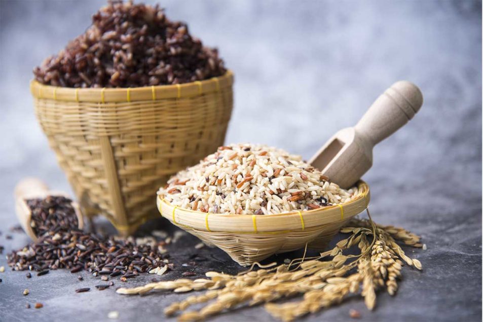 Coarse grains could offer new opportunities | 2021-07-22 | Baking Business