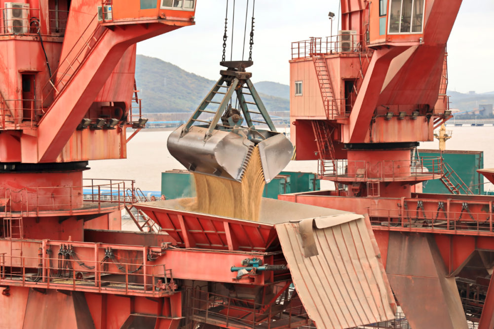 Cargo terminal for unloading grain cargo by shore cranes in Port Zhoushan, China