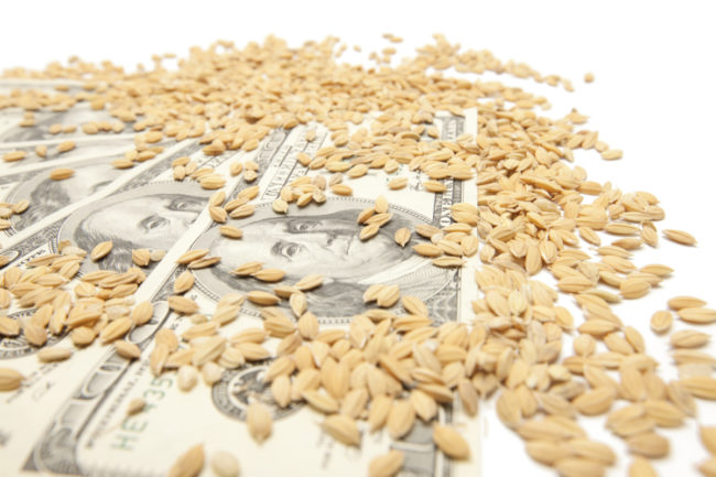 Wheat kernels on money