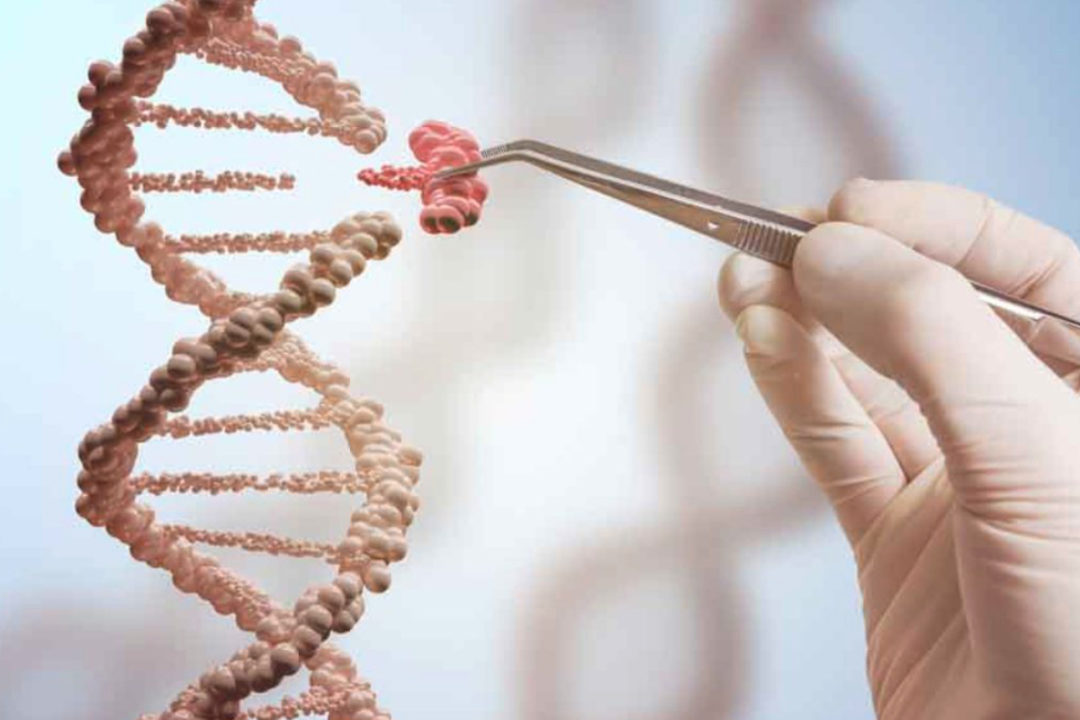 DNA editing CRISPR concept