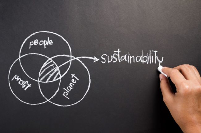 Environmental, social and governance goals