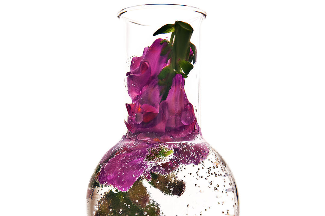 Test tube with crushed flowers