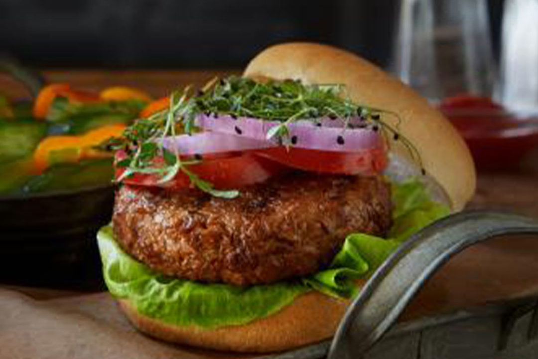 ProTerra plant-based burger