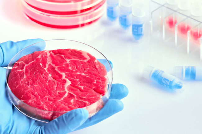Lab-grown meat alternative