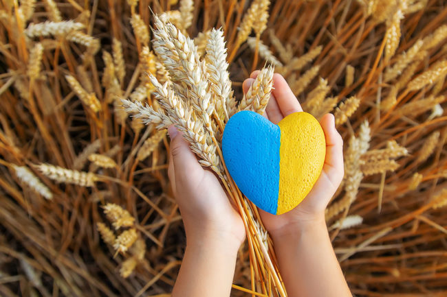 Ukraine flag, heart, wheat field, child's hands