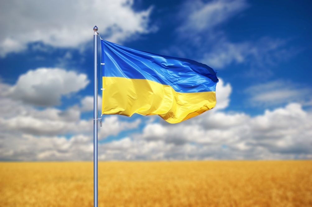 Wheat field, Ukrainian flag