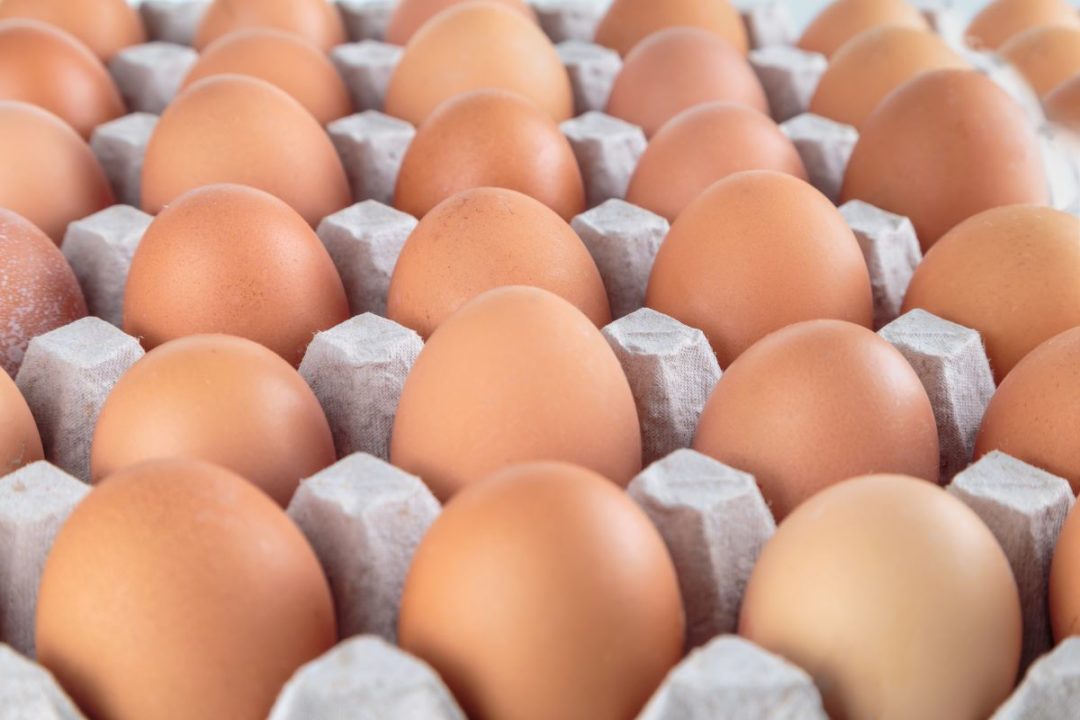 Eggs, egg carton