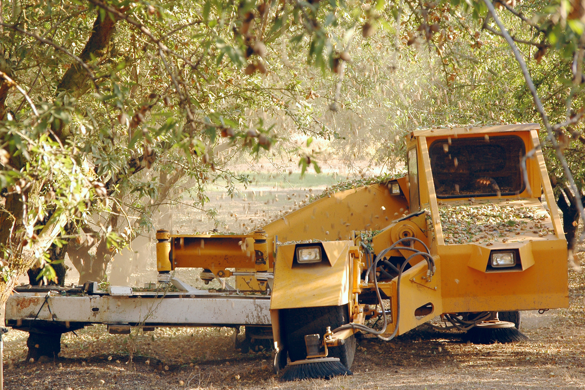 Almond harvesting machine