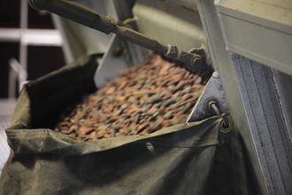 Cocoa production line