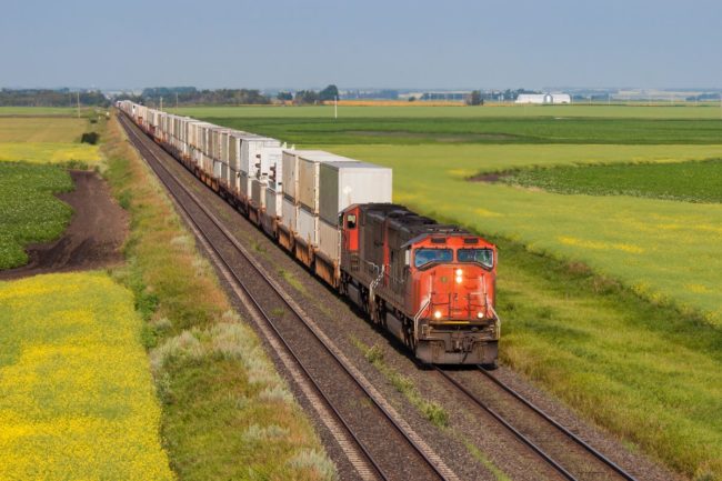 Cargo train in the country side