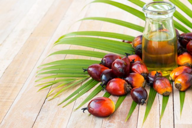 Palm oil plant and product