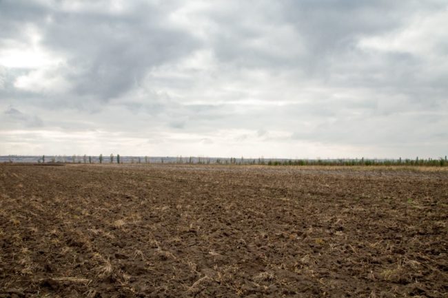 Empty field, cloudy sky, mud