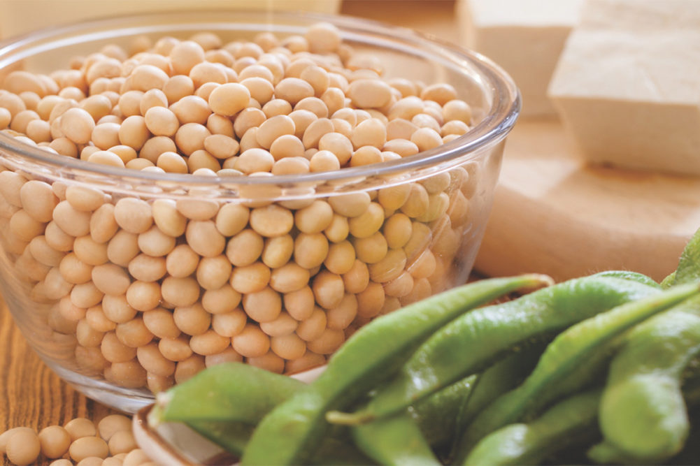 Soybeans, shelled and unshelled