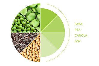 Chart of pulses