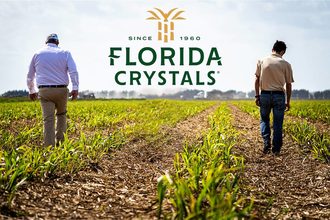 Florida Crystals sugar field