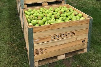 Fourayes apples