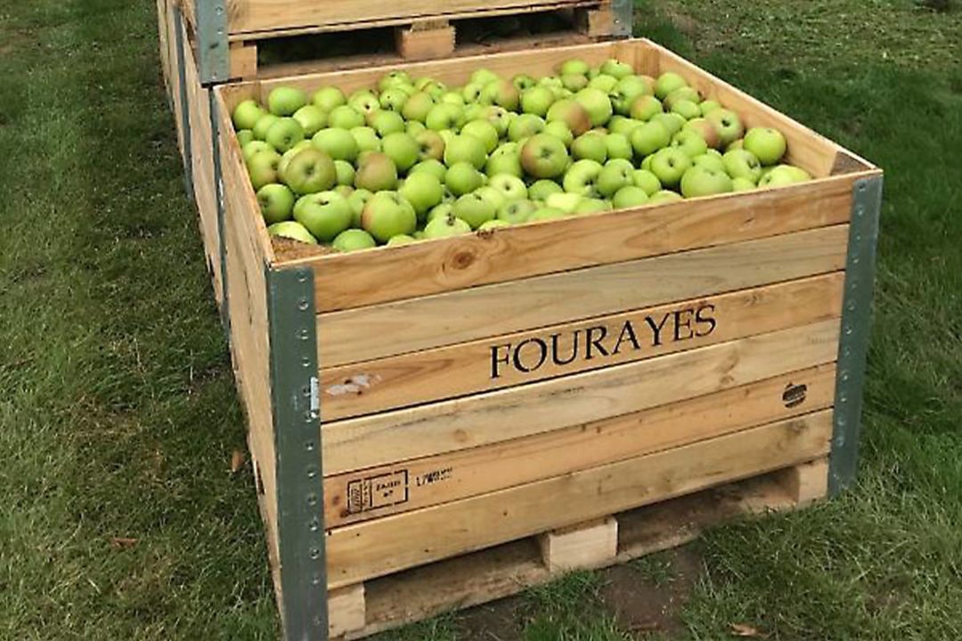 Fourayes apples