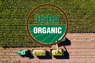 Organic harvest, USDA organic seal, corn harvest