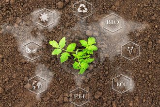 Organic agriculture graphic, soil, sprout, Adobe Stock