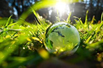 Sustainability graphic, grass, glass globe, Adobe Stock