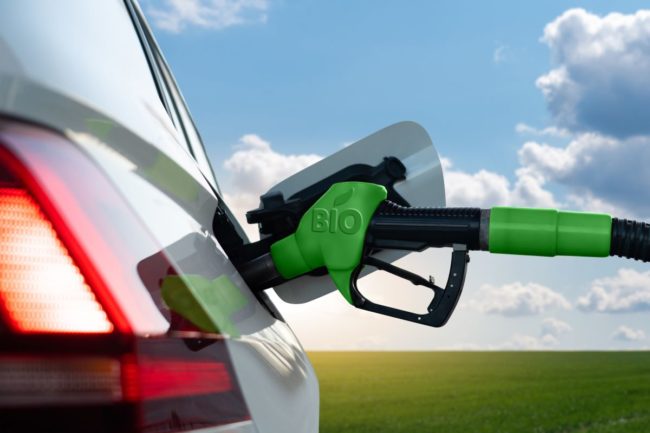 Biofuel, fuel pump