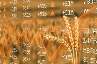 Wheat and stock prices